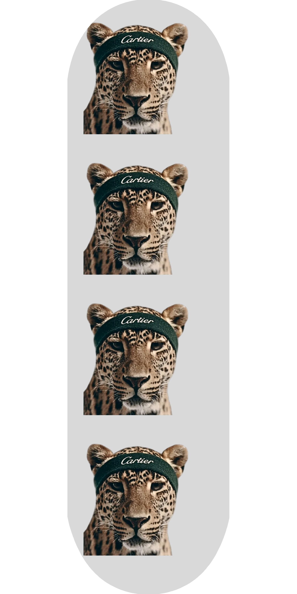 Jaguar mit Designer Stirnband Board